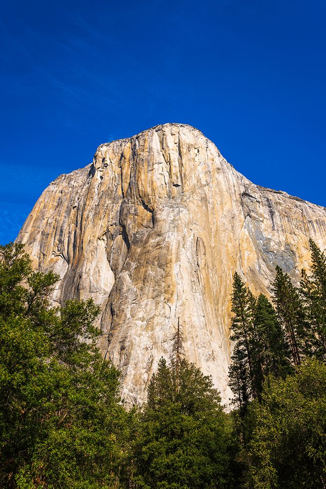 El Capitan-Yosemite Valley-Yosemite National Park-California-USA